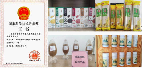 产学研融合 特色式攻关——齐齐哈尔大学破解“卡脖子”难题成功改观谷物加工格局