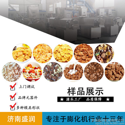 济南盛润机械 水果燕麦谷物脆生产线 麦圈麦片加工设备早餐玉米片生产线