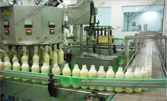 全自动红豆饮料加工流水线 温州科信引领谷物饮料加工新标杆